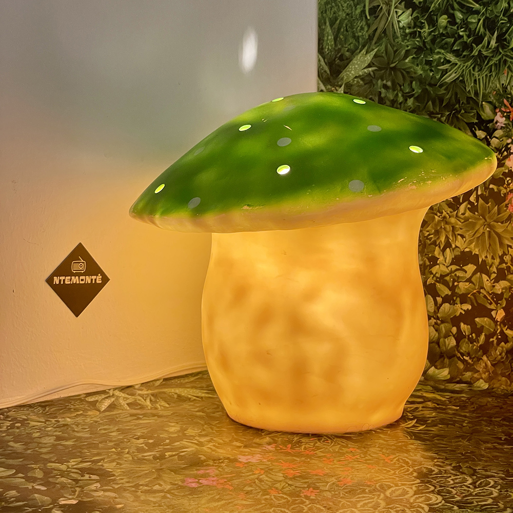 NTE1343 Προϊόν